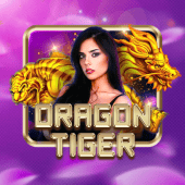 Dragon Tiger on YYPH live casino